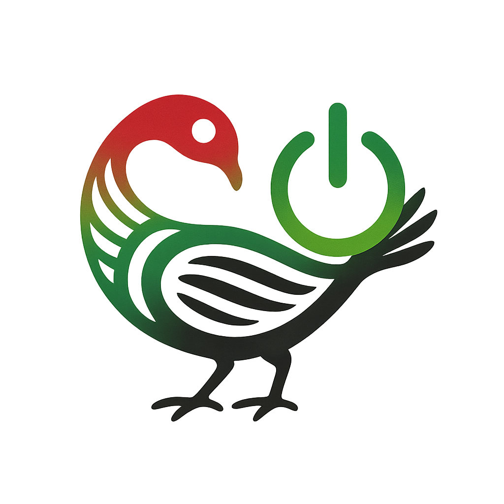 Sankofa Power